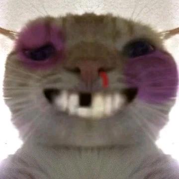 落魄了家人们