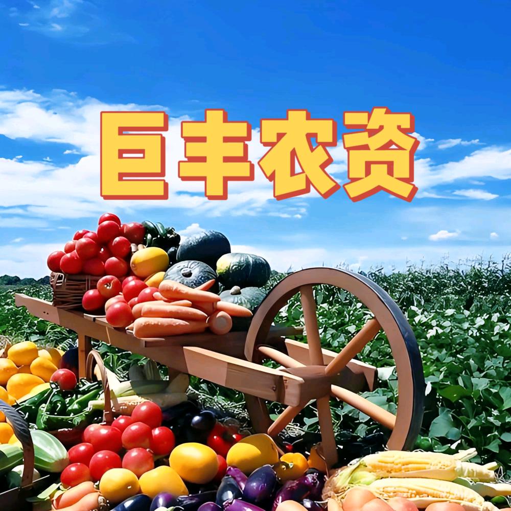 巨丰农资