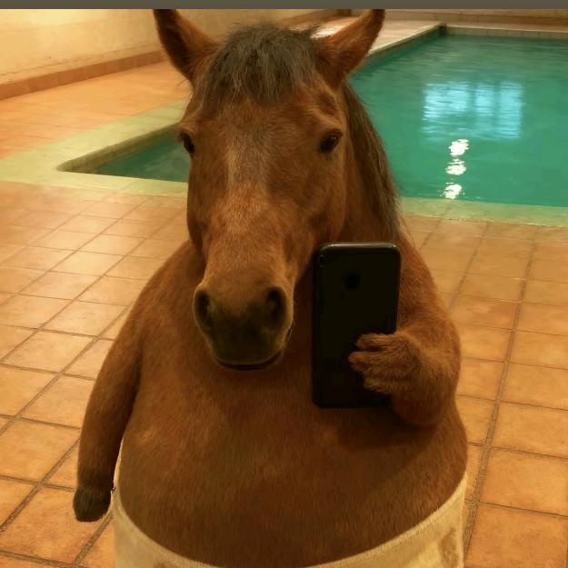 一头爱吃辣条的马