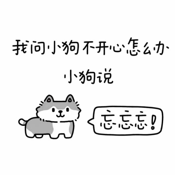 请叫我王八蛋