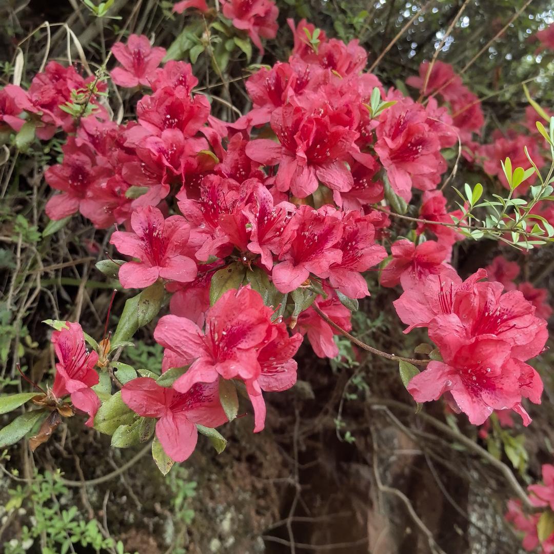 找呀找呀找朋友