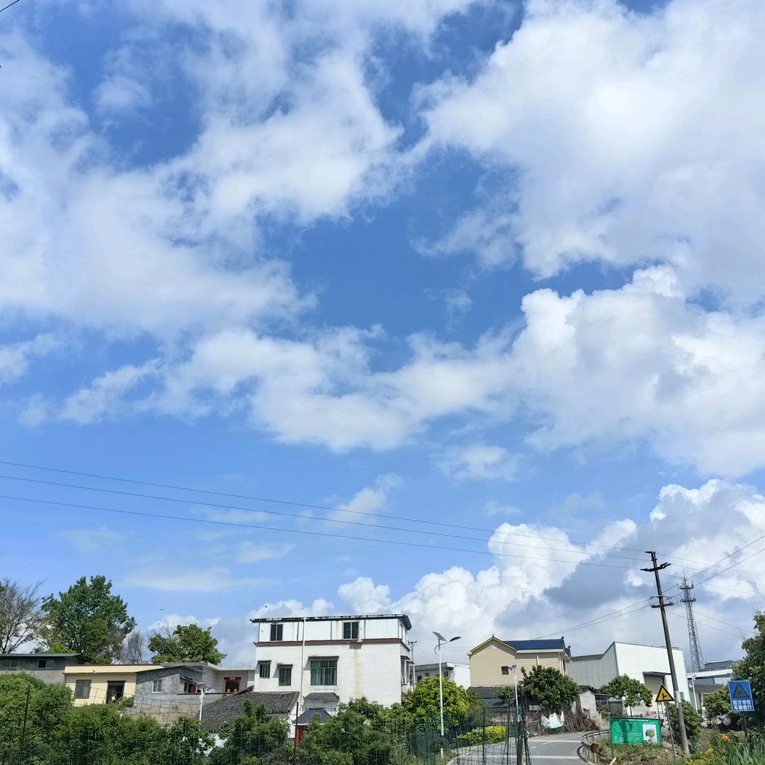 林亦