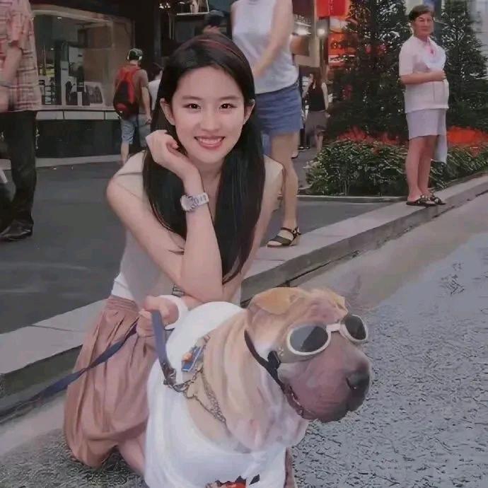 A建材彪哥
