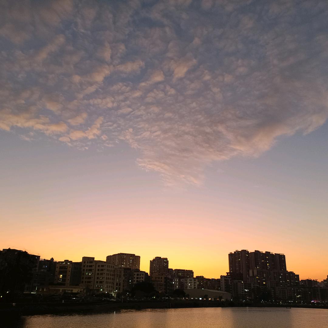 阿珍，我是田鸡啊