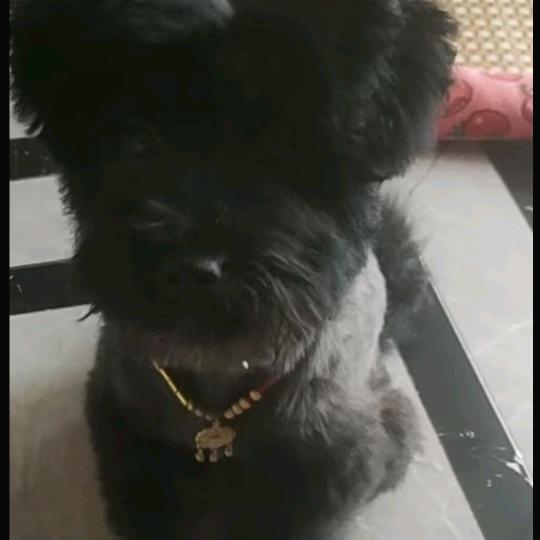 90后快递小姐姐