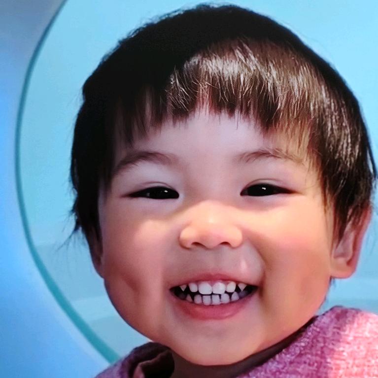 风还在吹