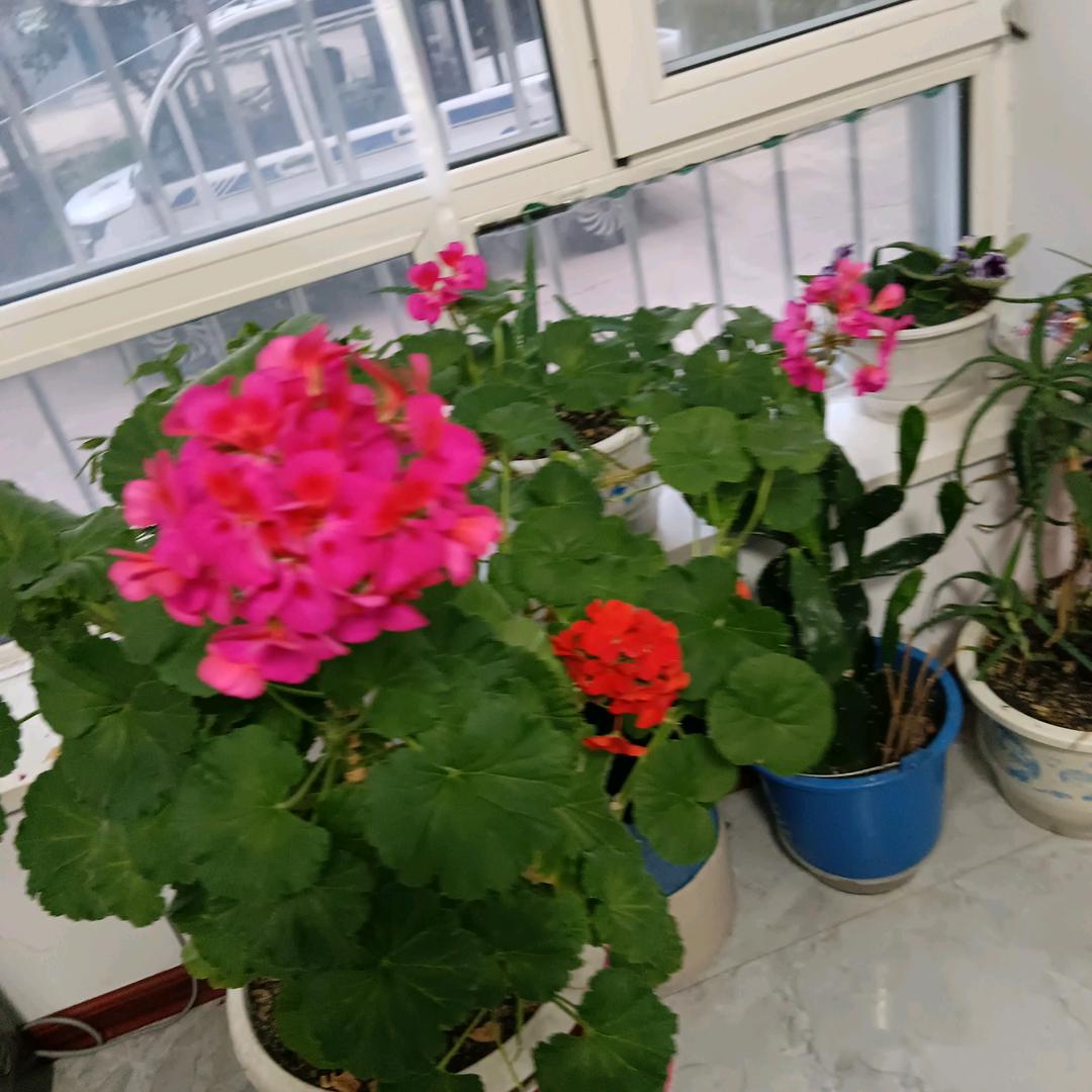 管它三七二十八，一个人快乐？