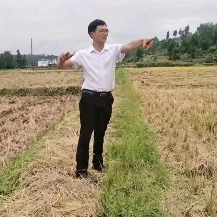 四川白二娃