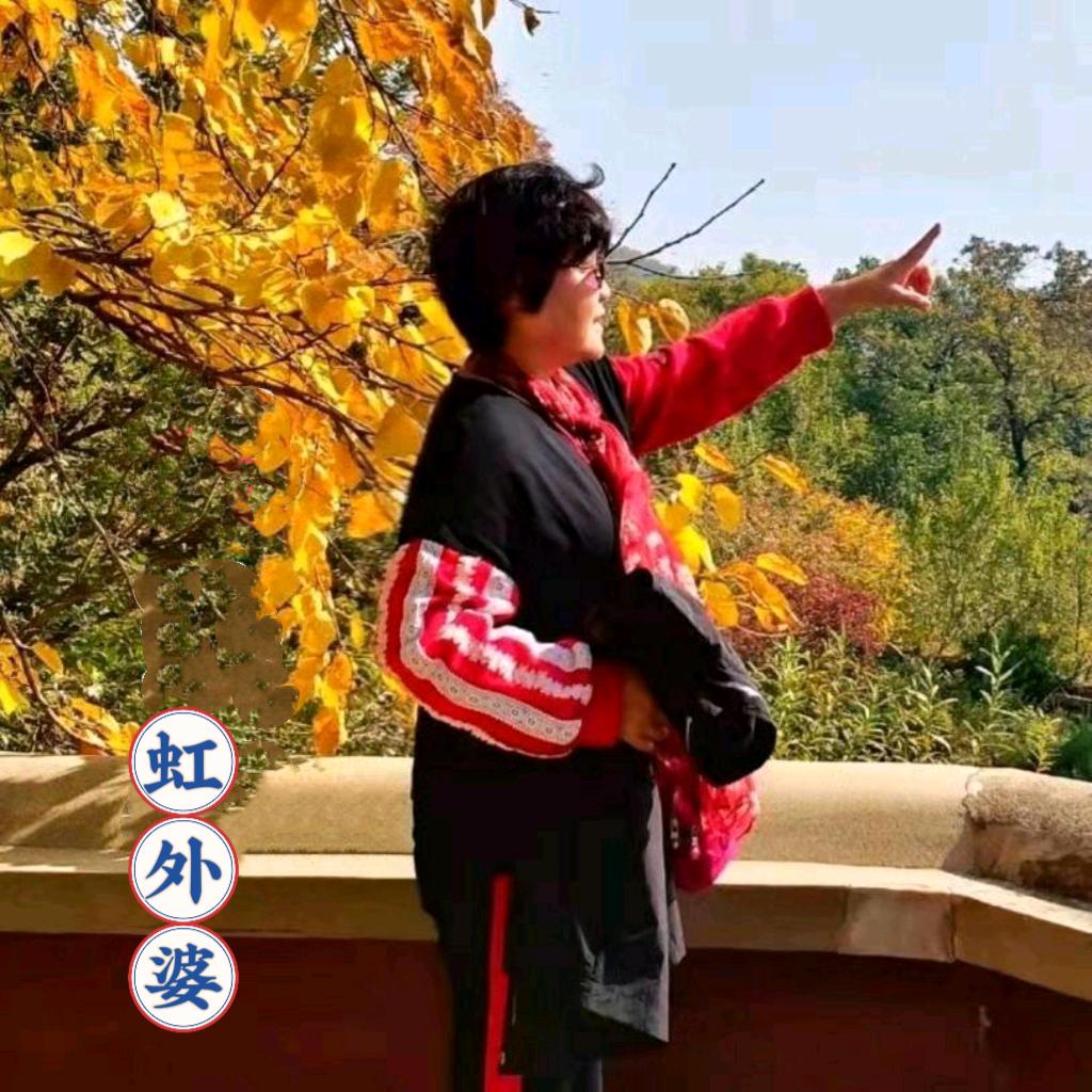 虹外婆情感