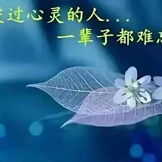 天天努力，春暖花开