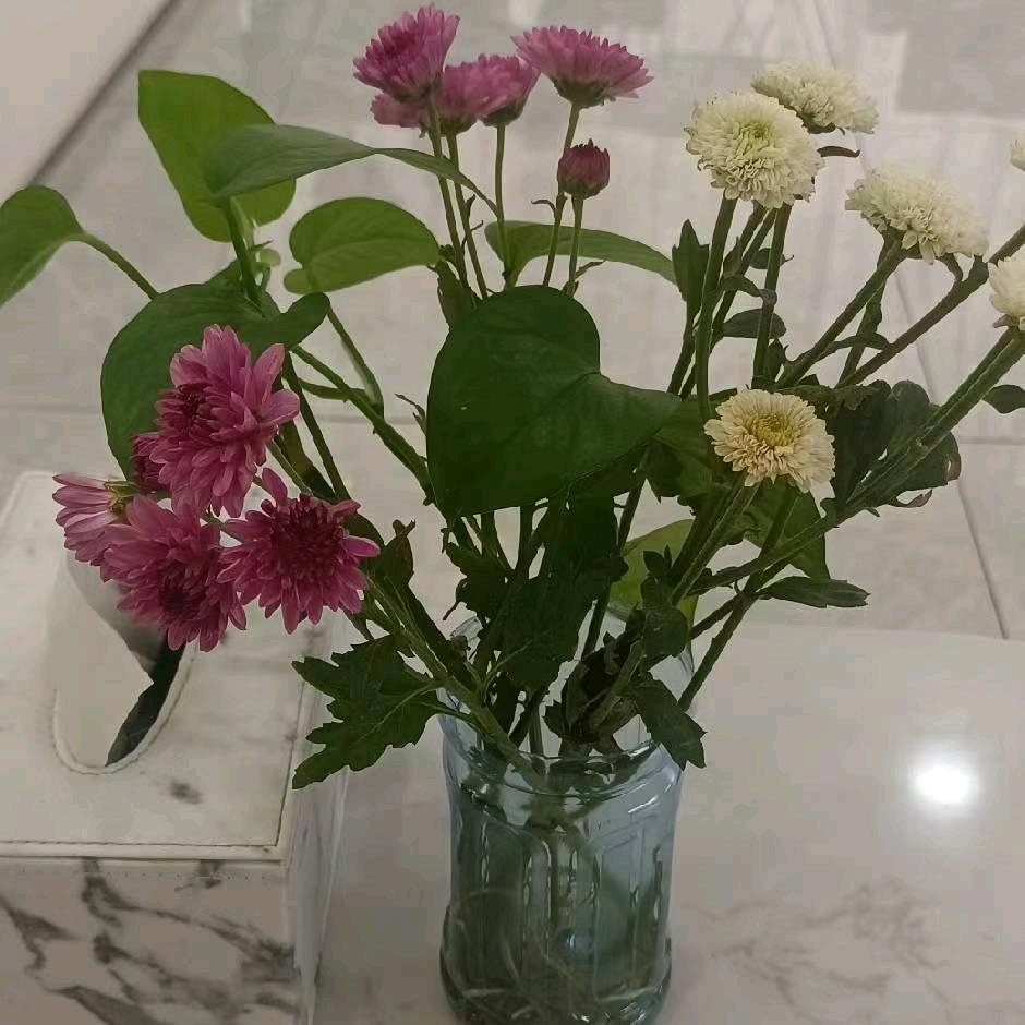 余生随心❤️