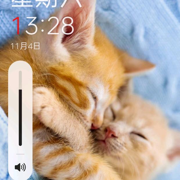 双手合十