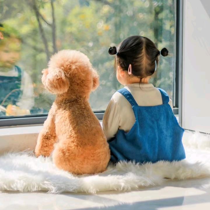 欣圆圆