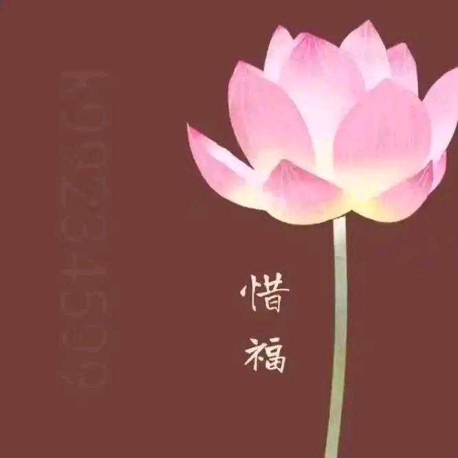 €向往 美好🥰&