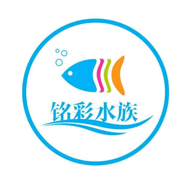 铭彩水族（小号）