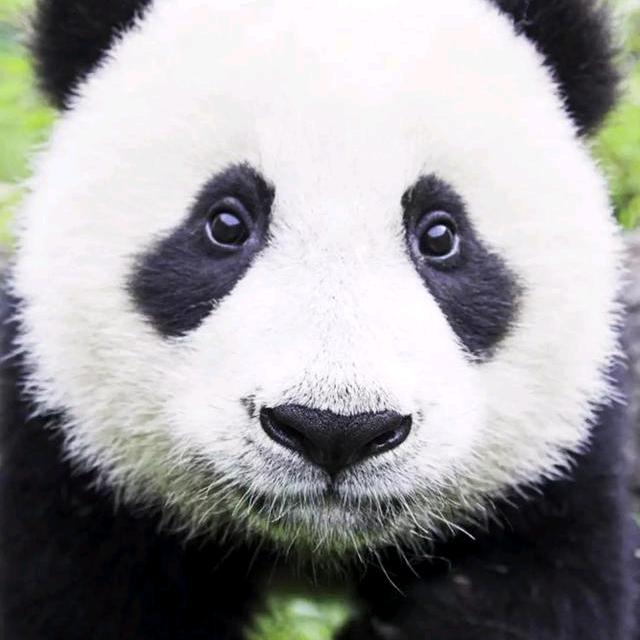 用户5316673282912回忆头像