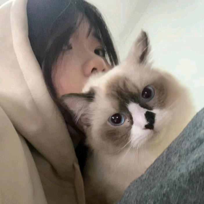 睡个懒觉⁸