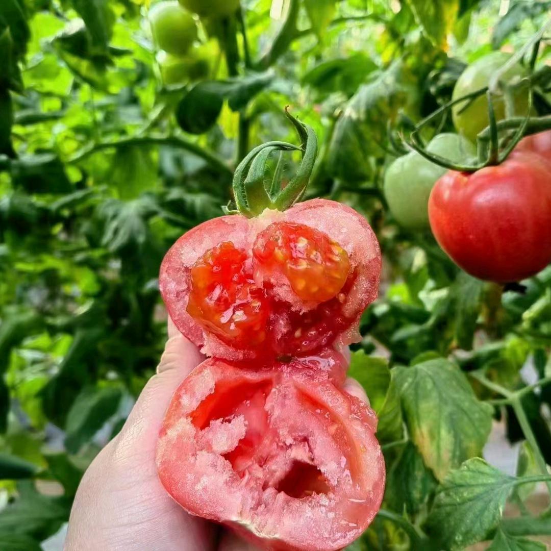 “情”“忠”“义”《男人》！