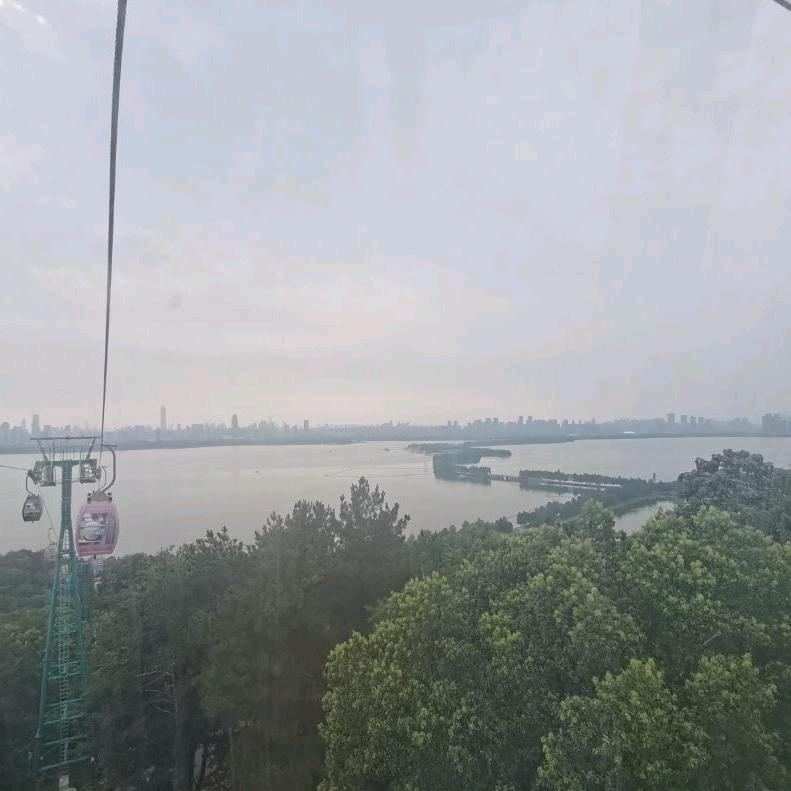 Priscilla（特异版）