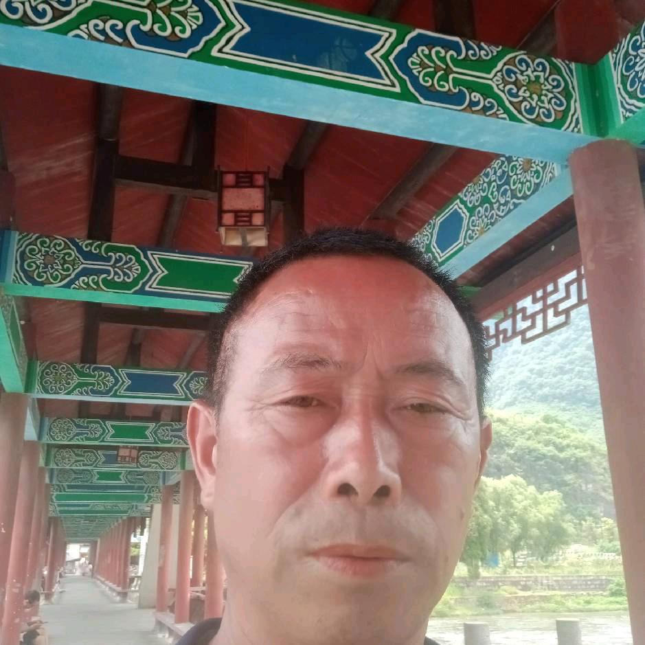 东奔西跑（杨）