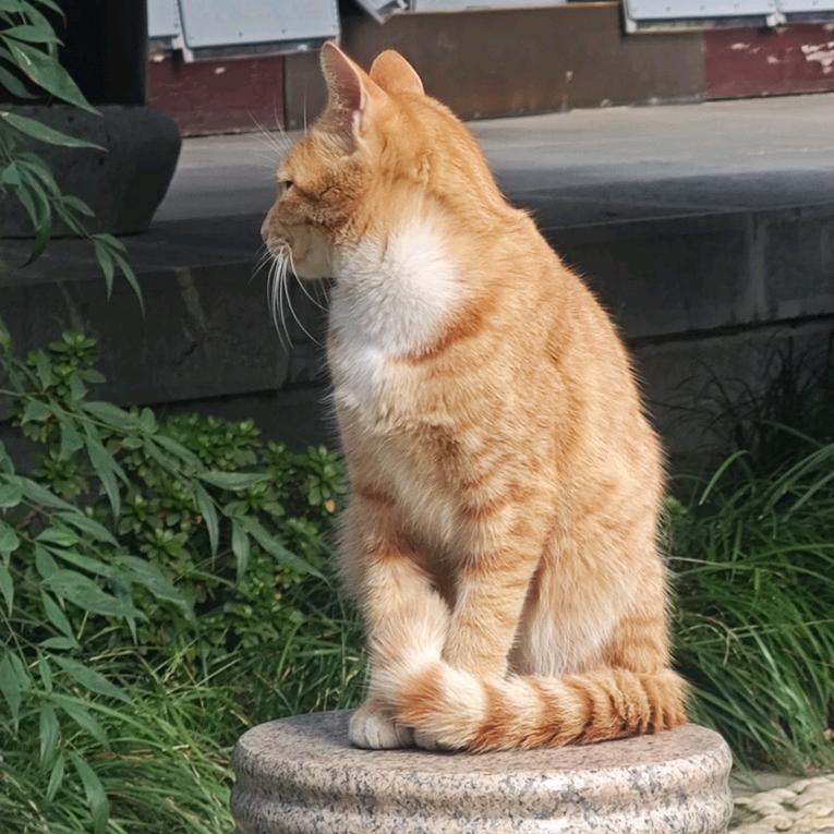 在南京的荣子 （2千粉抽免费妆造）