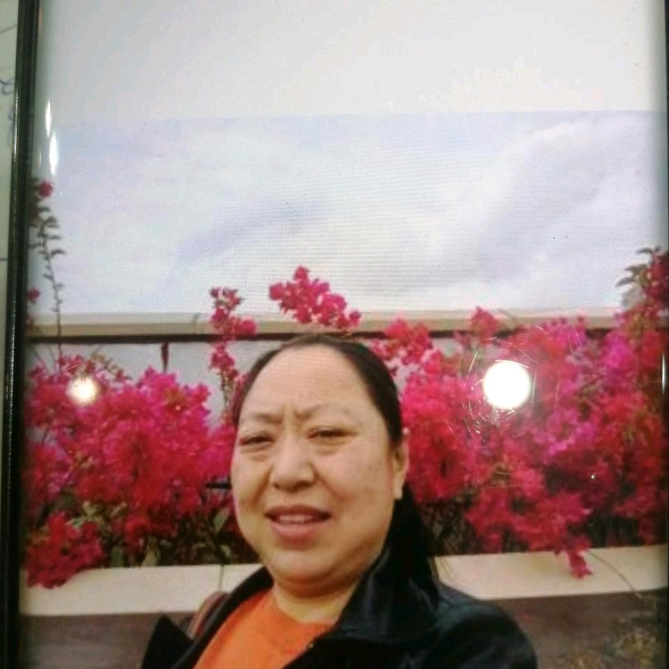 煨汤鱼罗姐