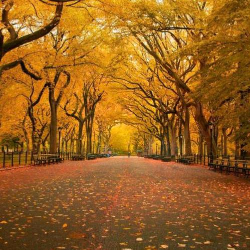 爱意随风起&风止意难平