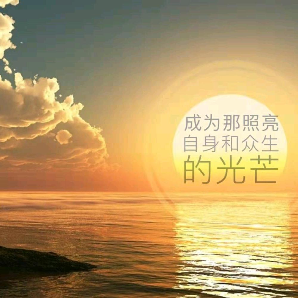 人生不过体验而已（醉乐）