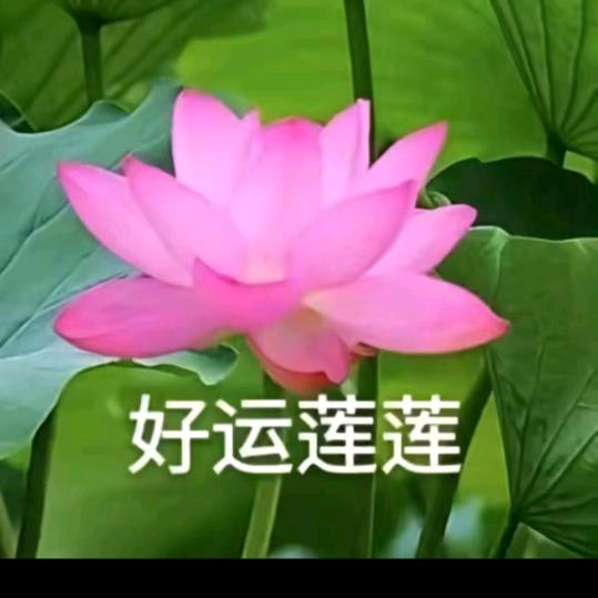 健康快乐每一天