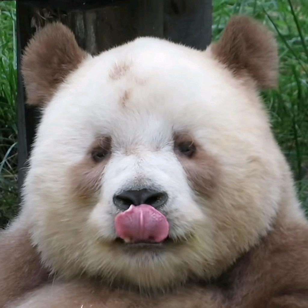 一念