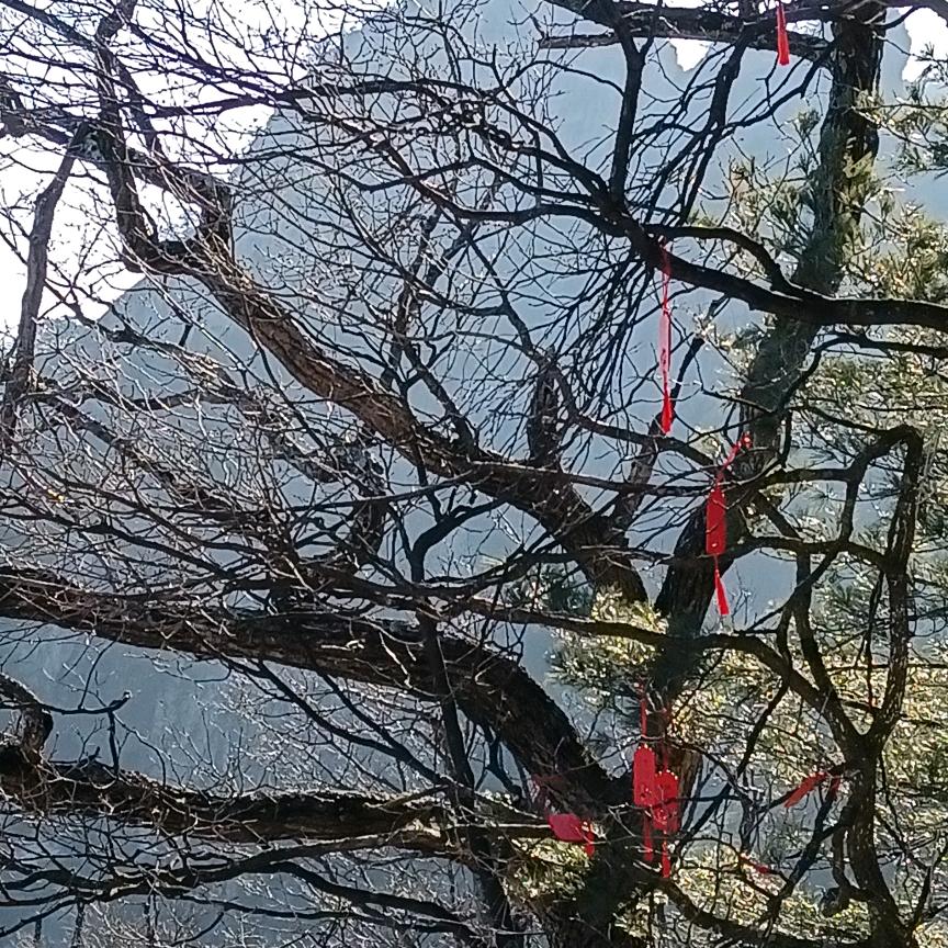 （忘掉烦恼）加油生活…