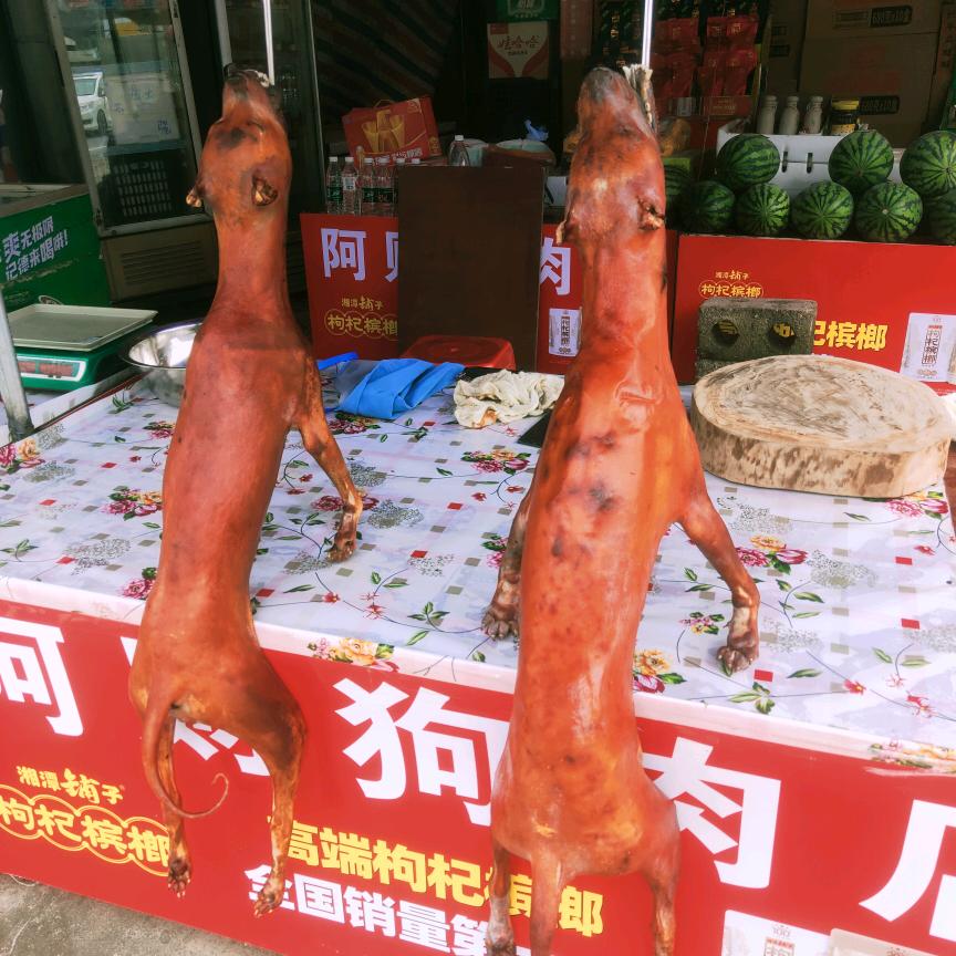 《专业靓狗与脆皮狗》