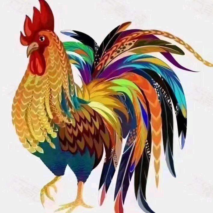 博一博
