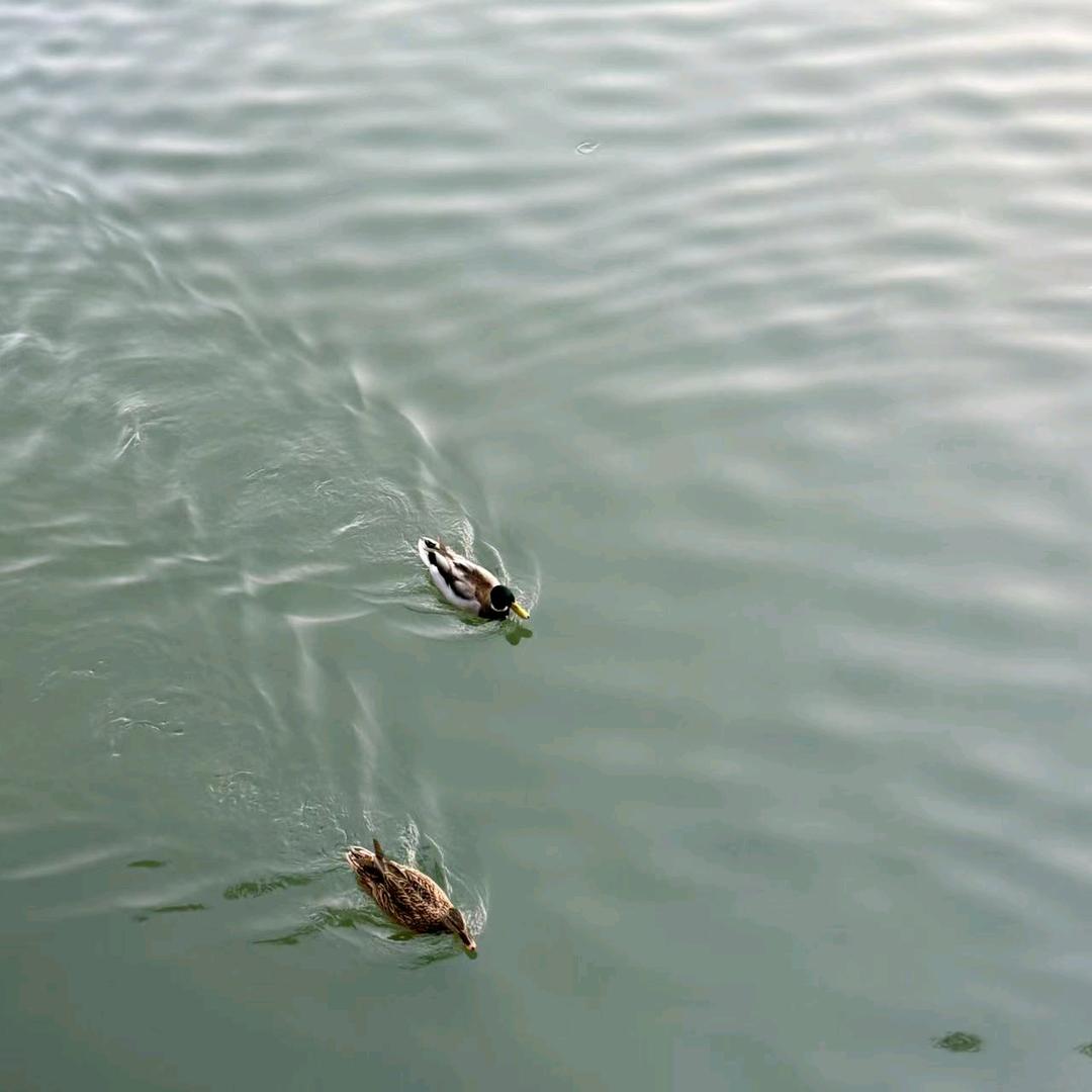 德州财众房产有限公司