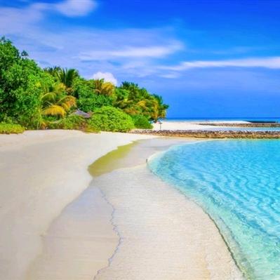 心动💗购物🛍️