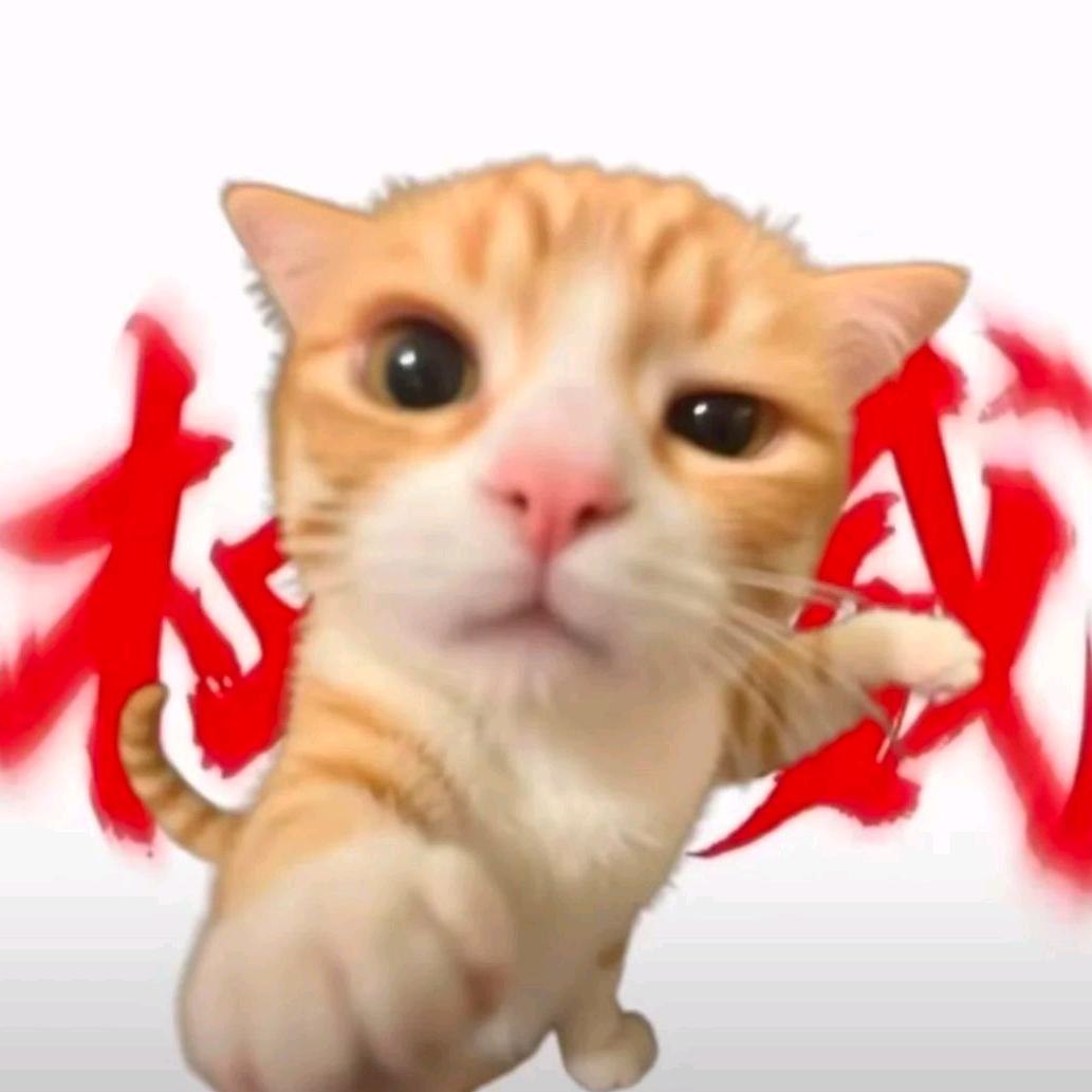 毛不吝🔥