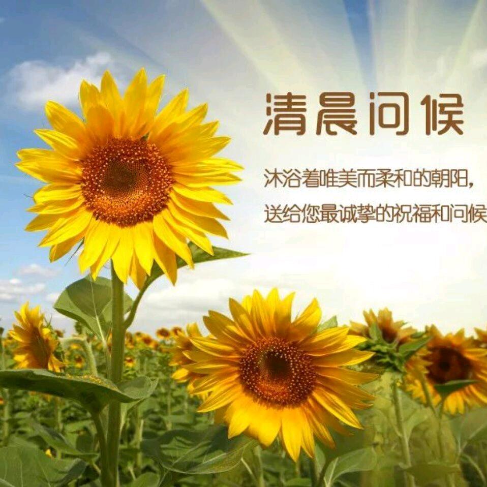 沐浴佛光
