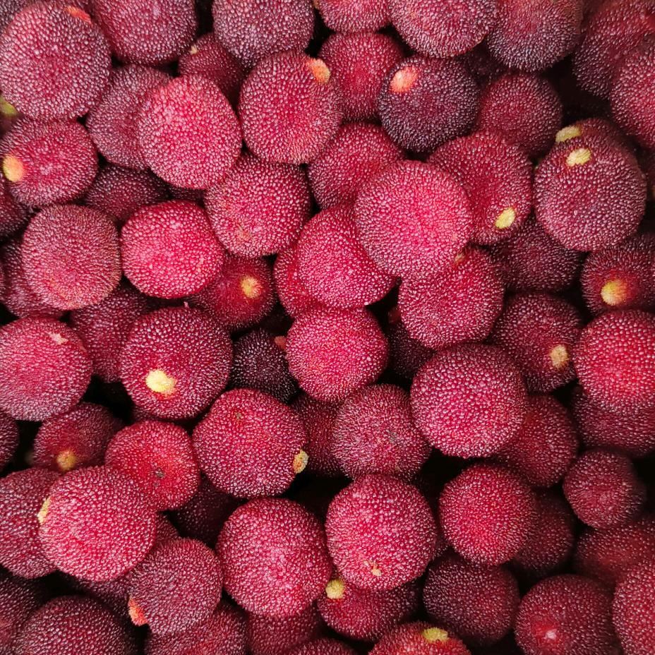 󾓭️《沈哥》󾓭️