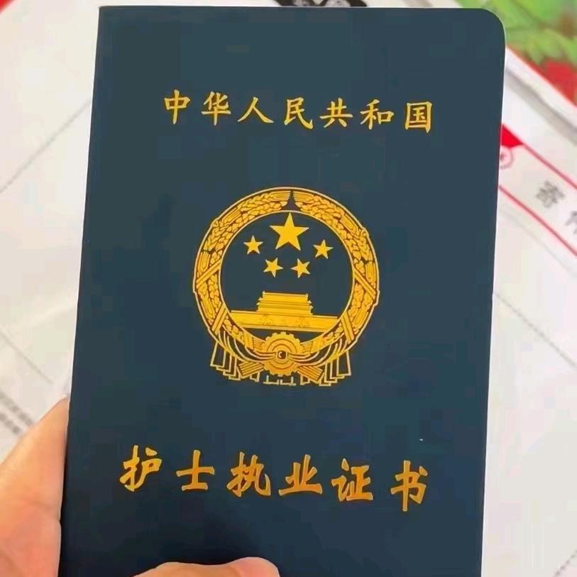 夜猫子注册咨询