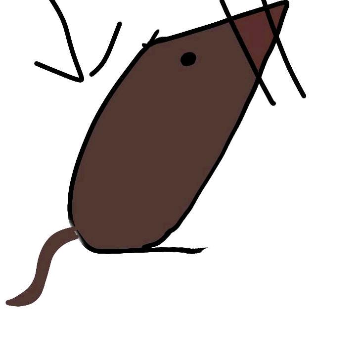 40岁离异带俩娃成熟没钱不容易骗的老男人