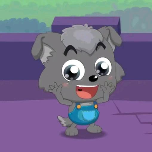 小灰灰监控宽带安装