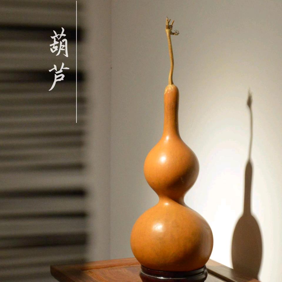 晨瑞葫芦