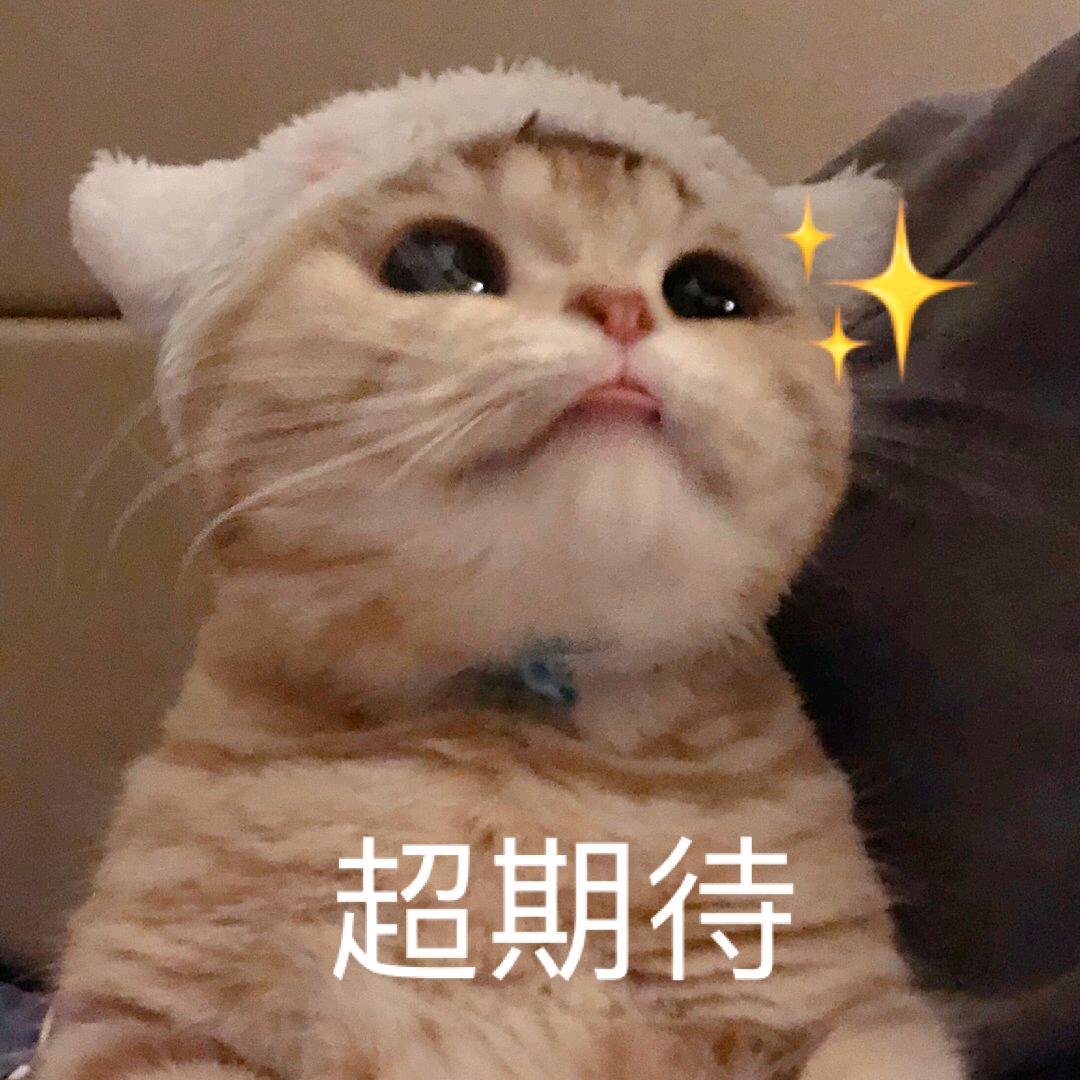 草莓味儿