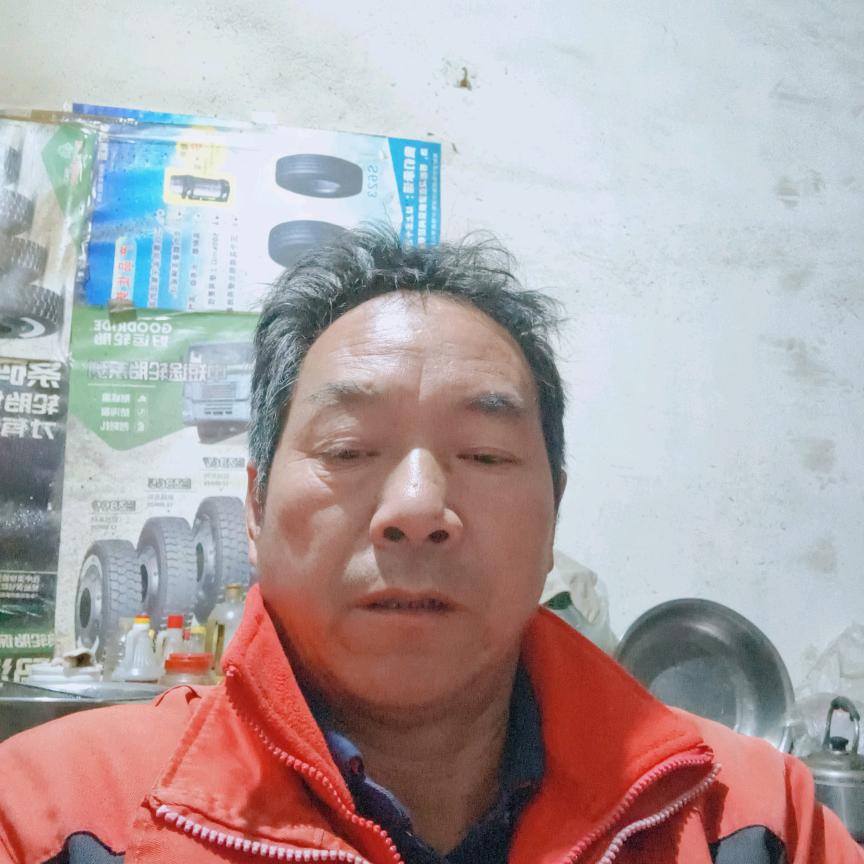 率性的圣诞树
