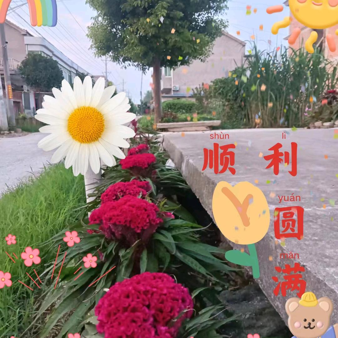 雨后阳光