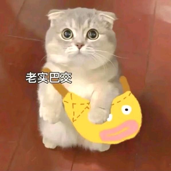 涛声依旧