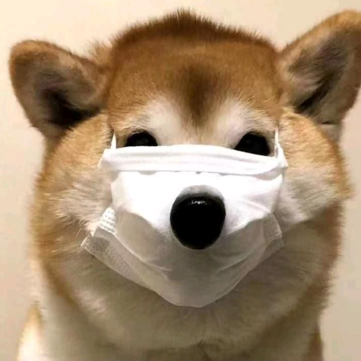 退休替孙子玩