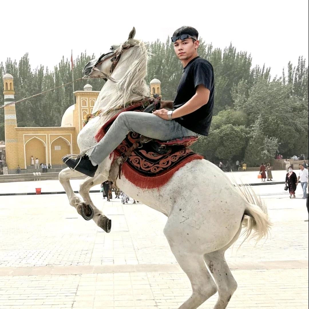 ꧁🐉春天的风🐉꧂