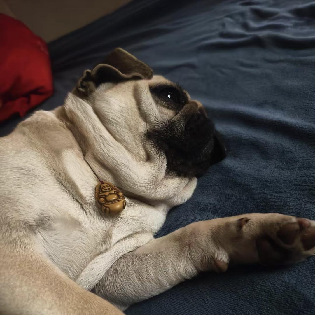 ಇ᭄携酒🍶话春风࿐