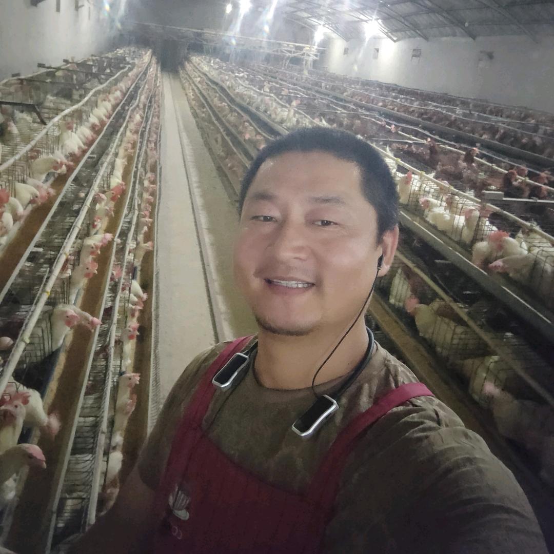 库车好日子家禽养殖场